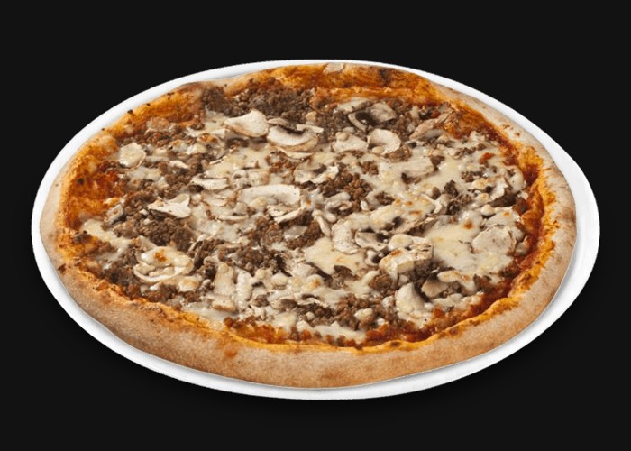 Tomate, fromage, viande hachee, champignons, origan.